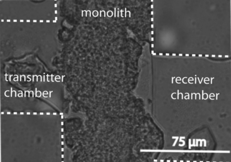 Bacterial Communication – Precision Bio System Lab